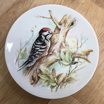 Buy Royal Worcester -  Birds - Collectable Porcelain  Plate - Beautiful Item • 0.99£