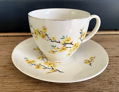 Buy Vintage Johnson Brothers Tea Cup & Saucer Made In England Pretty Flower Blossom • 5£