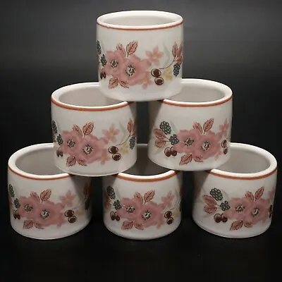 Buy Boots ‘Hedge Rose’ Pattern Vintage Ceramic Set Of Six Serviette/napkin Rings • 7.90£