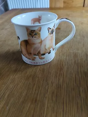 Buy DUNOON CATS BREEDS Fine Bone China  • 10£