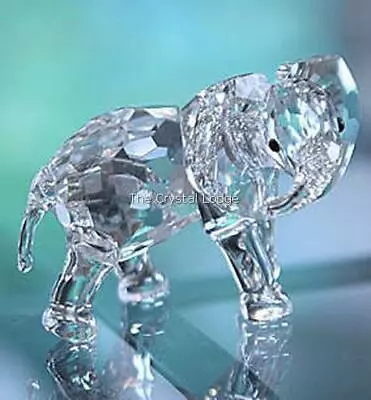 Buy Swarovski Crystal Elephant Little 674587 Mint Boxed Retired Rare • 120£