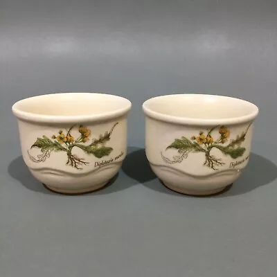 Buy Poole Pottery “ Country Lane 2 X Egg Cups • 7.95£