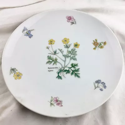 Buy Vintage Honiton Pottery Shop Plate 9  Floral • 9.99£