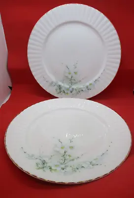 Buy 2 ROYAL STAFFORD  Blossom Time Bone China  Dinner Plates • 9.99£