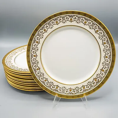 Buy Aynsley Kenilworth Dinner Plates Gold Encrusted Set Of 12 - 10 1/2  FREE SHIP • 719.28£