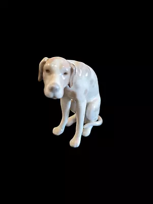 Buy Beautiful Lladro Porcelain Moping Dog Figurine • 56£