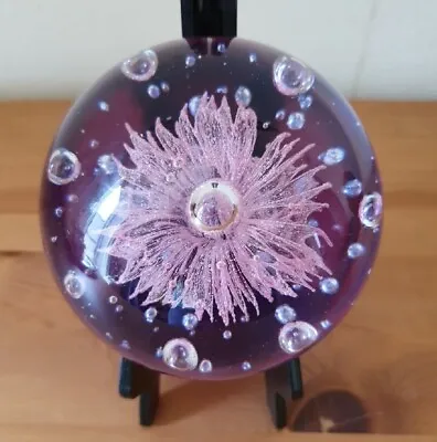 Buy Pink Anemone Glass Paperweight • 10£