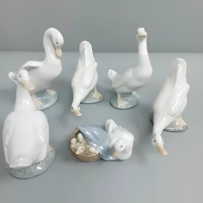 Buy Lladro Goose Duck Swan Figurines Bundle X6 Nao Collection 5.5-15cm White -CP • 19.99£