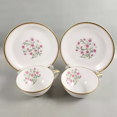 Buy Vintage 1930s Noritake 5297 Pink Cosmos Gold Porcelain Cup Saucer Set Of 2 Japan • 32.66£