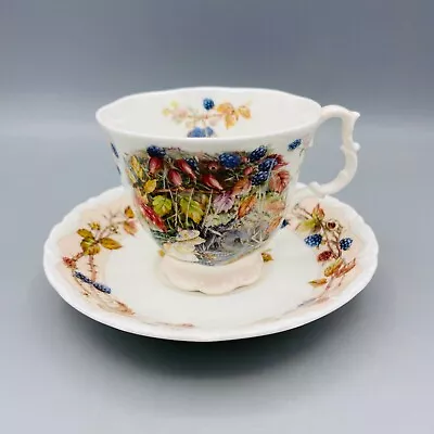 Buy Royal Doulton Brambly Hedge Autumn Cup And Saucer 1st Quality Jill Barklem 1983 • 19.95£