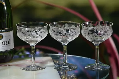 Buy 5 Antique Etched Cocktail - Champagne Glasses, Central Glass Works, 1910 • 139.06£