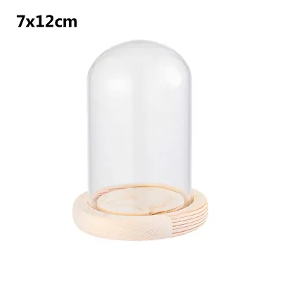 Buy Glass Dome Display Bell Jar Cloche On Wooden Base Table Decorative 6 Sizes* • 6.71£