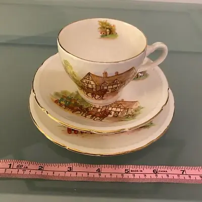Buy Swinnertons Majestic Vellum Cottage Fine China Tea Cup Set 3 Piece Reg 837607 • 28.41£