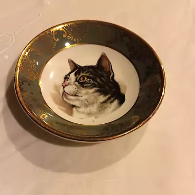 Buy Grey Cat Tabby Crown Ducal England Antique 4” Plate ENGLAND FALCON WARE 2-73 • 7.07£