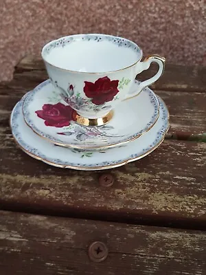 Buy Vintage Royal Stafford Bone China Teacup, Saucer & Plate Trio Roses To Remember • 4.99£