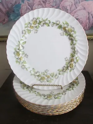Buy Aynsley Bone China England Dogwood Flowers Set Of 8 Dinner Plate • 154.27£