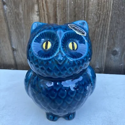 Buy Vintage Trentham Art Ware Blue Pottery Owl Money Pot Made In Devon . • 29£