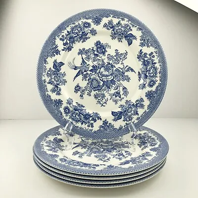 Buy Royal Stafford ASIATIC PHEASANT POWDER BLUE Dinner Plates (5) Light Blue • 70.95£