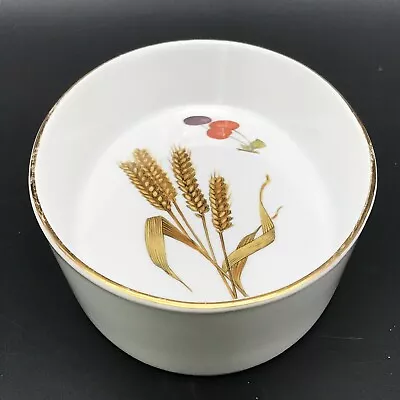 Buy Royal Worcester Wild Harvest Oval Serving Dish Oven To Tableware 1963 • 14.99£