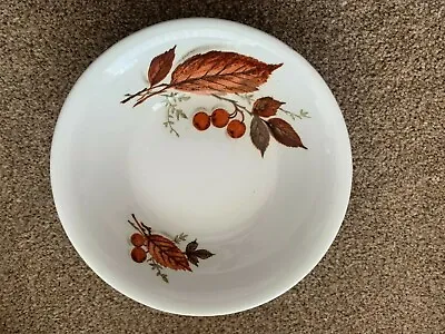 Buy Alfred Meakin Glo-White Ironstone Small Bowl - 13.5cm - Autumn Leaf Design • 3.99£