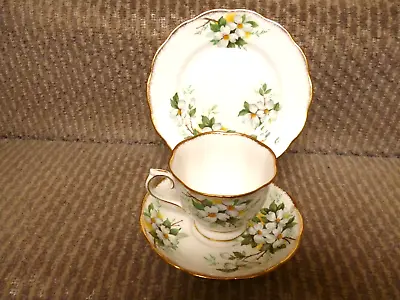 Buy Royal Albert White Dogwood Pattern Tea Trio • 15£
