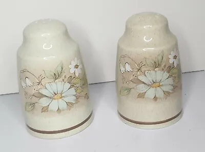 Buy Royal Doulton Lambeth Ware 1977 Salt And Pepper Shakers (A13) • 4£