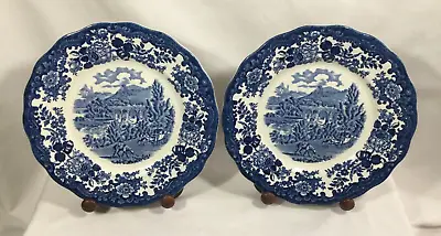 Buy Blue & White Staffordshire Worcester Palissy Hand Engraved 2 Dinner Plates • 6£
