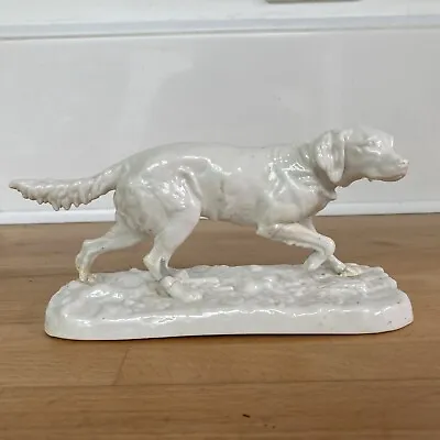 Buy Rare Antique Porcelain ‘Irish Setter Dog’ Artwork-Nymphenburg- Code 536 • 47.85£