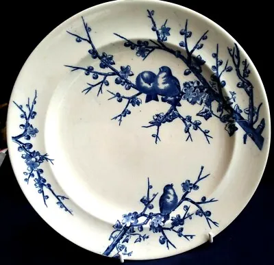 Buy Antique Collectible Plate Almonds George Jones&Sons Blue Bird Circa 1870 • 39£
