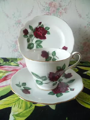 Buy Royal Standard English China Trio Tea Cup Saucer Plate Red Velvet Roses • 6£