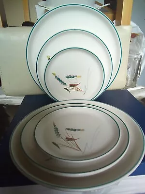 Buy Vintage Denby GREENWHEAT  Stoneware  Plates • 25£