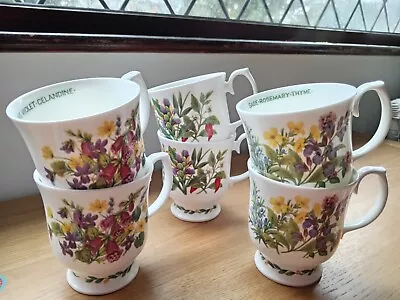 Buy Roy Kirkham English Fine Bone China X6 Mugs Herbs And Spices Collection • 65£