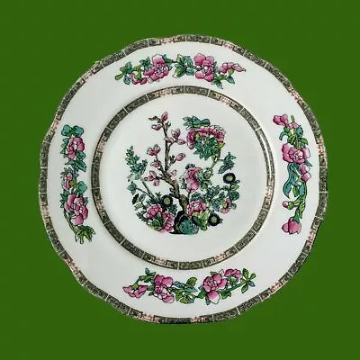 Buy Vintage Duchess Bone China Indian Tree Pattern Plate In Good Condition • 10£