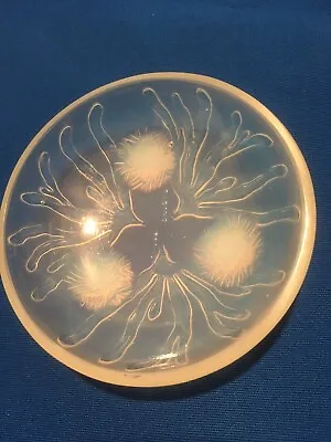 Buy Sabino  Footed Glass Plate 4  Dia. Paris Fiery Opalescent Glass Marked  • 115.33£