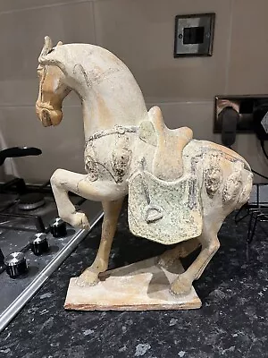 Buy A Rare Chinese Antique Tang Dynasty Sancai Pottery Horse(35cm) • 10£