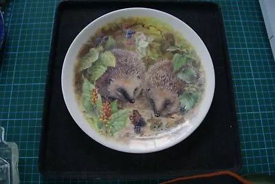 Buy Staffordshire Collectors Plate Of Hedgehogs 20 Cms • 4.99£