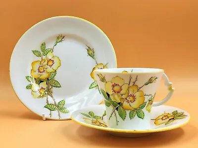 Buy Royal Albert Crown China Art Deco Shape Wild Rose Tea Trio. 794028. 9351. • 45£