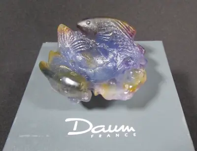 Buy Lovely Vintage Boxed Daum France Crystal Glass Small Fish Art Glass Bowl • 299.97£