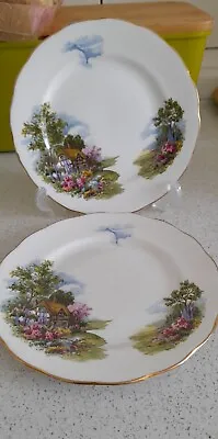 Buy  Royal Vale Country Cottage Tea Plates  • 5£