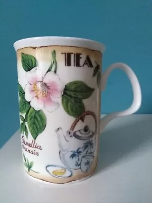 Buy Royal Kirkham  'Camellia Sinensis' Fine Bone China Tea Mug • 10£