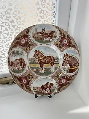 Buy F.R.Gray & Sons Ltd. 10  Vintage Shire Horse Decorative Plate • 5£