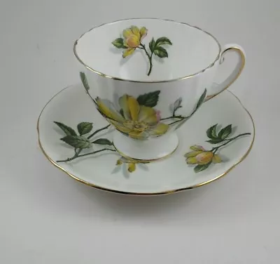 Buy Vintage Royal Standard Fine Bone China Tea Cup And Saucer - England Camillia • 30.86£