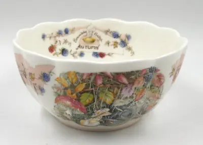 Buy ROYAL DOULTON BRAMBLY HEDGE AUTUMN PETAL BOWL FROM 4 SEASONS 1st QUALITY UNUSED • 40£