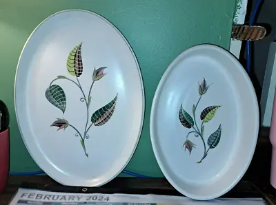 Buy Vintage Denby Fine Stoneware Springleaf Set Includes Platter And Oval Bowl • 18.84£