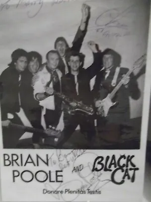 Buy BRIAN POOLE AND BLACK CAT Hand Signed Photo Laminated • 4.99£