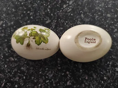 Buy Vintage Poole Pottery Egg Shaped Trinket Pot (country Lane) Alchemilla Vulgaris • 14.99£