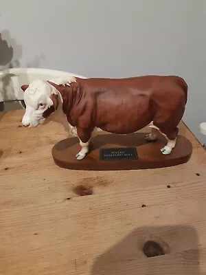 Buy BESWICK POLLED HEREFORD BULL A2574 CONNOISSER, SMALL CHIP ON EAR See Photos.  • 29.99£