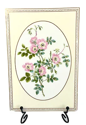 Buy Vintage Royal Worcester China Rose Collection Wall Plaque Sweet Briar Rose 1988 • 19.99£