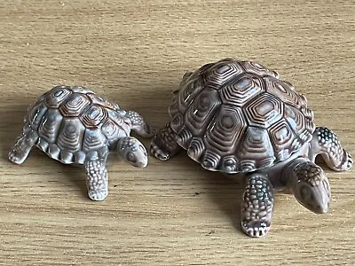 Buy Wade Porcelain  Pair Of Tortoises • 8£