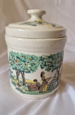 Buy Vintage Dorn Williams Boncath Pottery The National Trust Storage Jar Canister • 8£